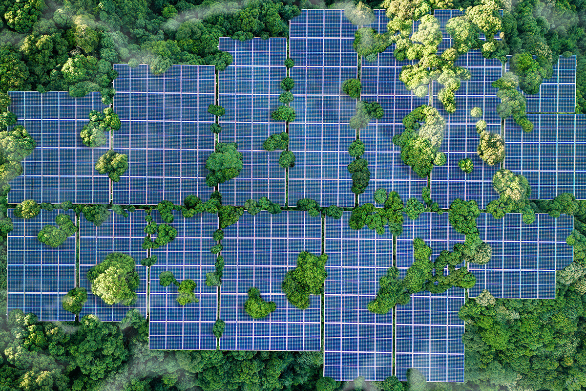 Solar Panels zwischen grünen Bäumen